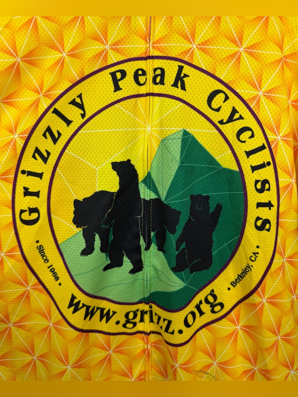VOLER • Yellow/Purple Grizzly Peak Cyclists Short-Sleeve Cycling Jersey, XL - Picture 4 of 15